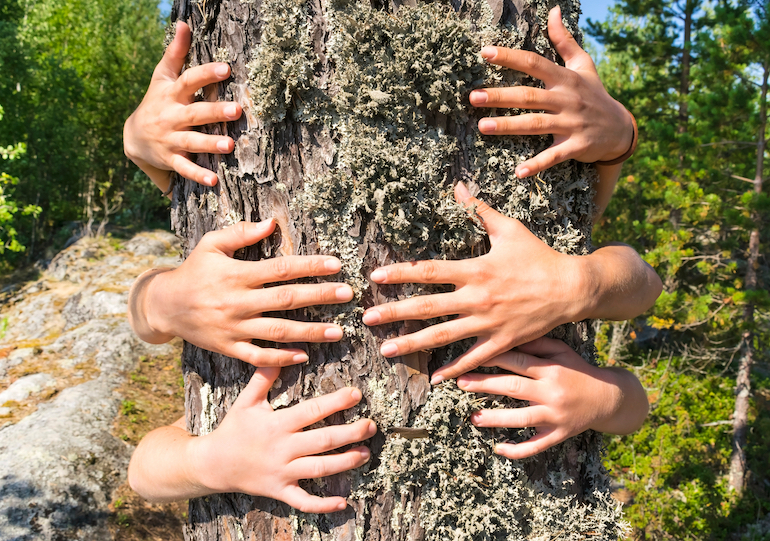 Kinderhände umarmen einen Baum